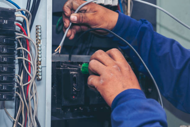 Best Electric Panel Repair  in Albert Lea, MN