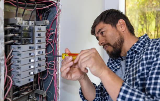Best Electrical Repair Services  in Albert Lea, MN
